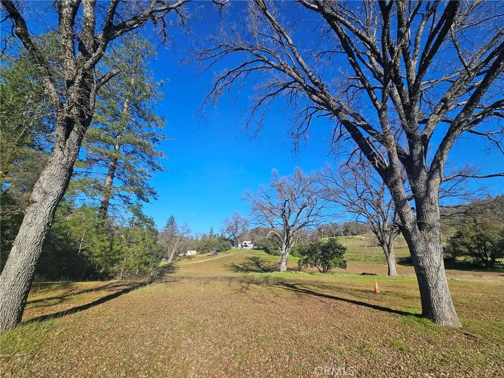 59366 Road 225 - Photo 1
