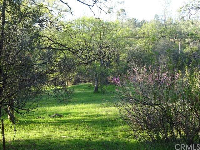 0 Richardson Springs - Photo 1