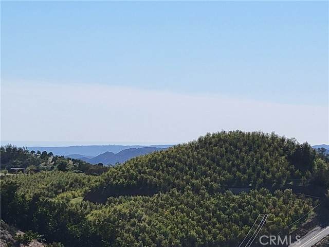 0 Calle Cuero - Photo 1