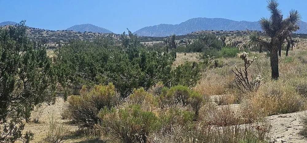 0 Avenue X / 136th St E - Photo 1