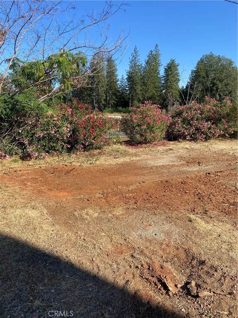 8899 Skyway - Photo 1