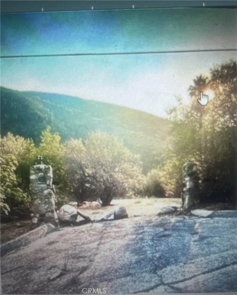 1836 Forrest - Photo 1