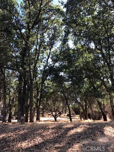 19200 Moon Ridge - Photo 1