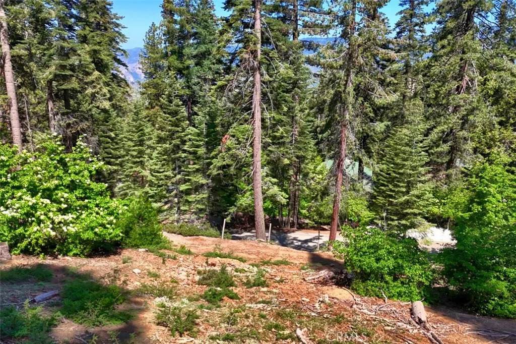 7420 Henness Ridge - Photo 1