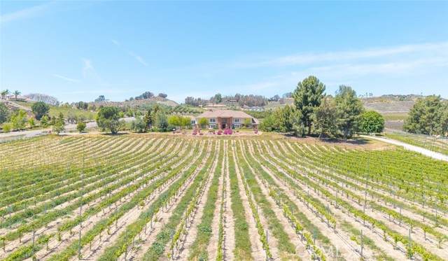 37028 De Portola Road - Photo 1