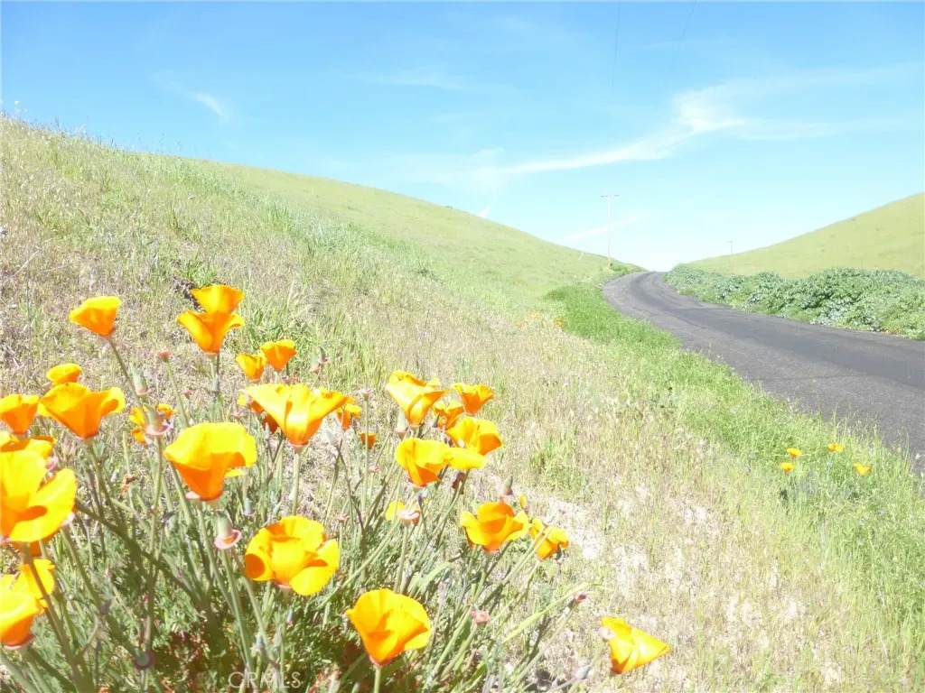 0 Douglas Rd. (Lot 28) - Photo 1