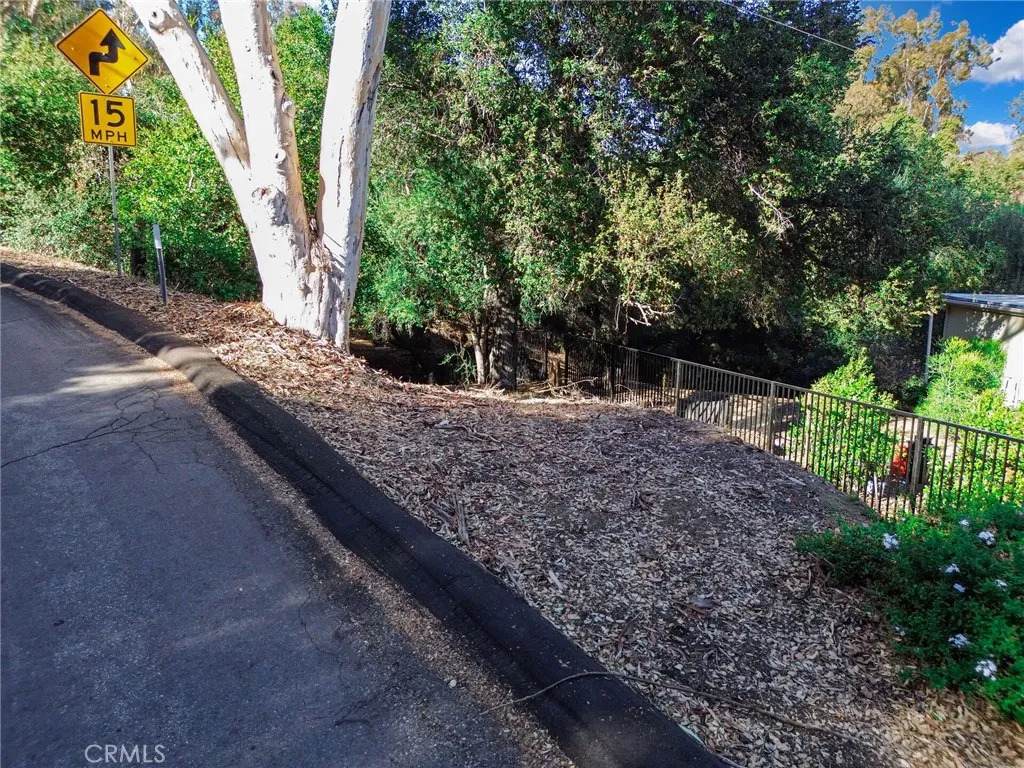 0 Live Oak Canyon Road - Photo 1