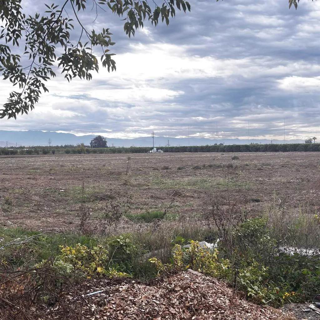 39088 39088 Road 104 Dinuba, Ca - Photo 1