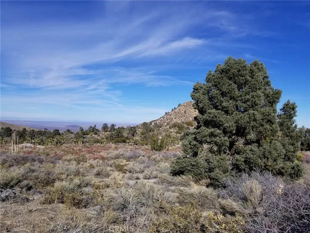 0 Vac/Vic Avenue Z14/235 Ste - Photo 1