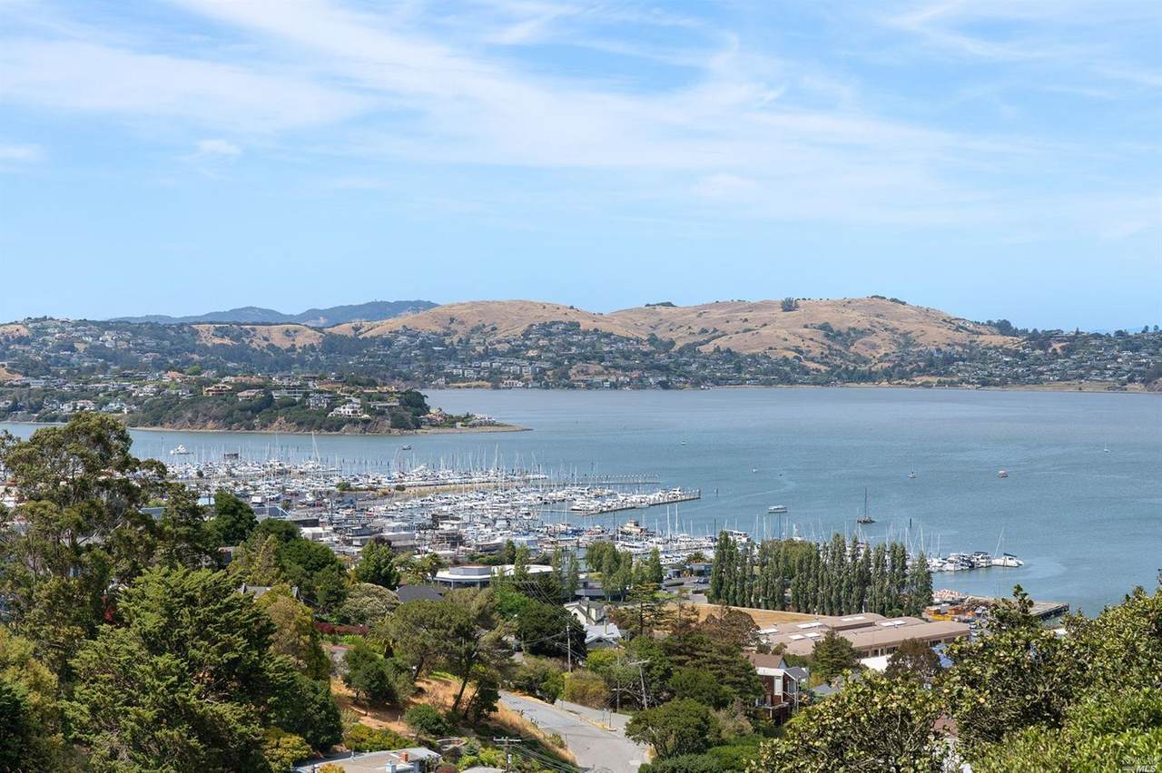 10 Toyon Court - Photo 1