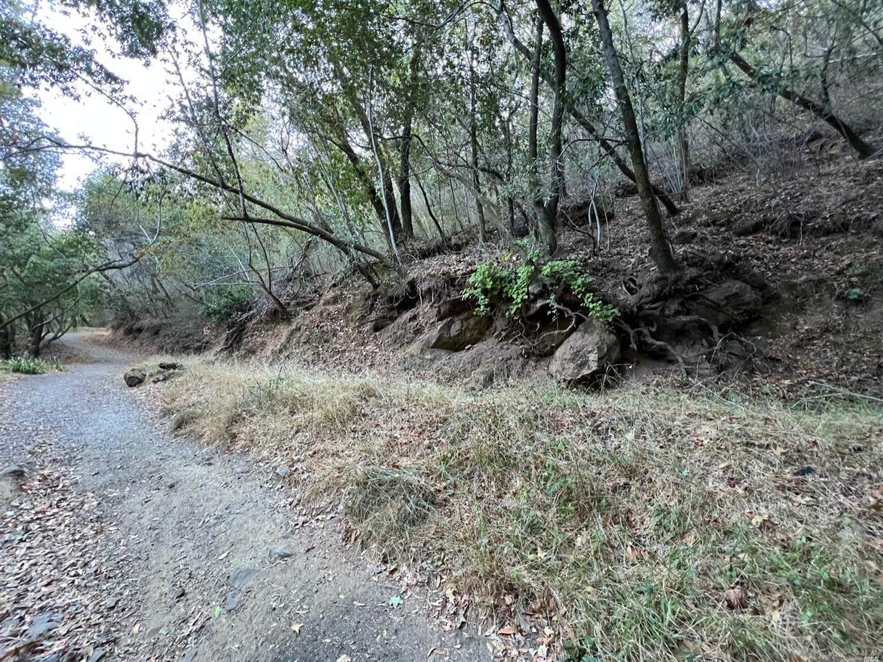 0 Madrone Road - Photo 1