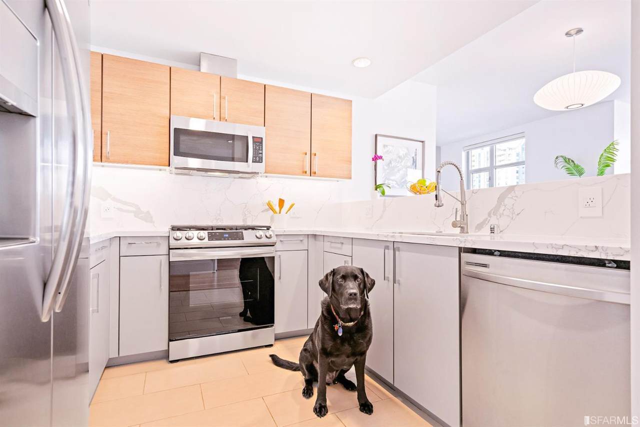 1310 Fillmore Street - Photo 1