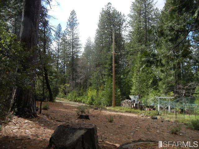 33360 Main Street - Photo 1