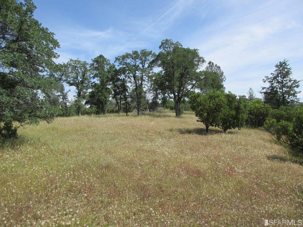 9 Acres Jones Valley Trail - Photo 1