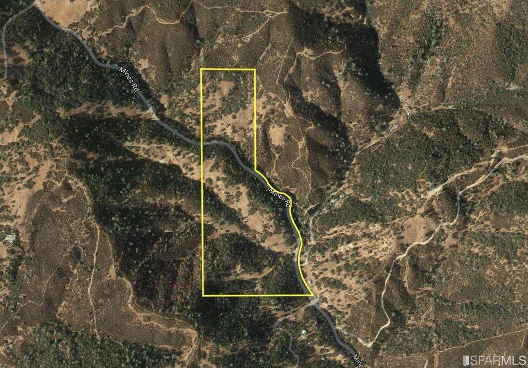 0 Mines Road - Photo 1
