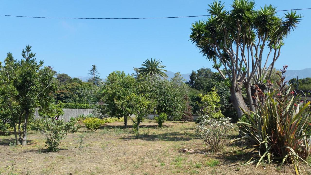 127 Loureyro Rd - Photo 1