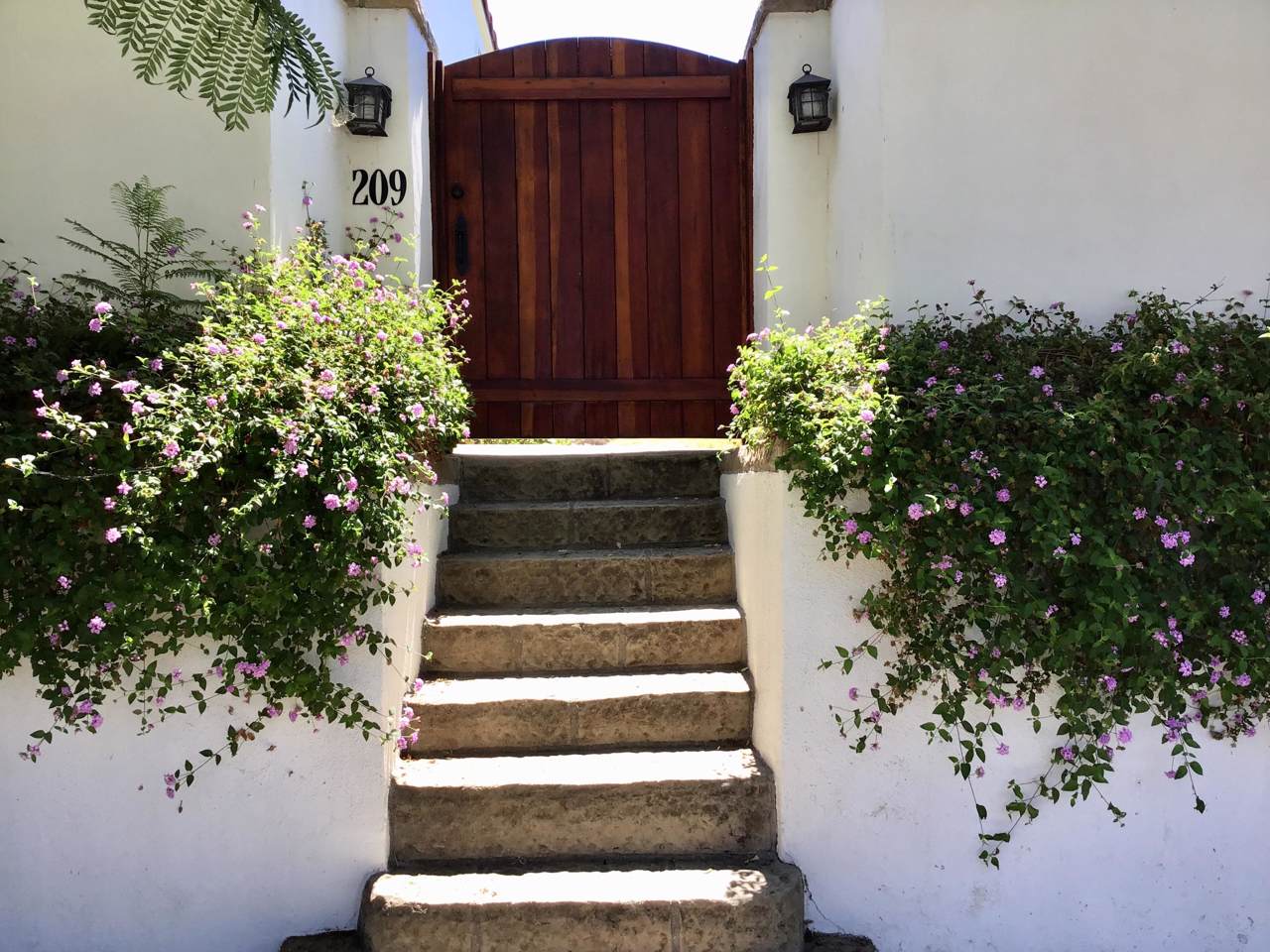 209 Constance Ave - Photo 1
