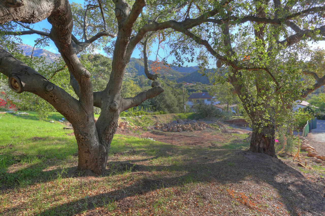 1453 Orange Grove Ave - Photo 1