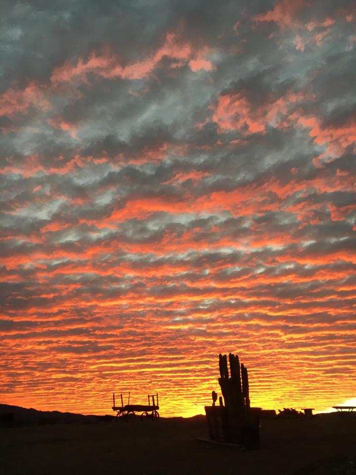 10999 Santa Ana Rd - Photo 1