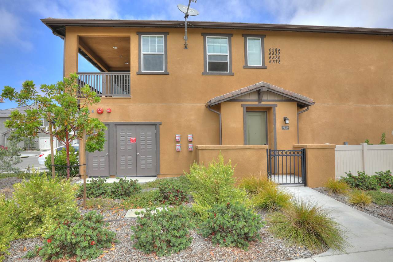6584 Calle Koral - Photo 1