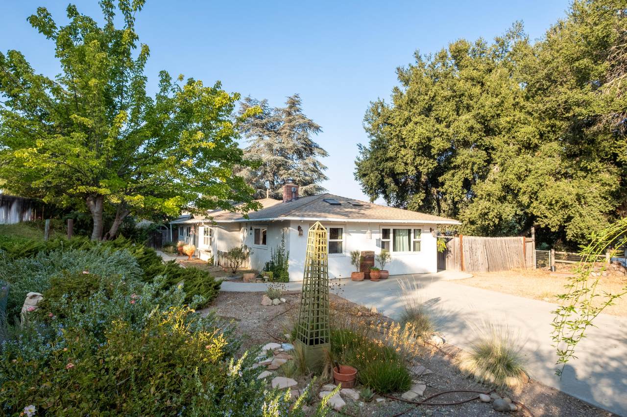 3651 Olive Street - Photo 1