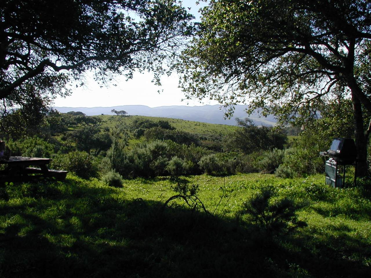 001 Sweeney Road - Photo 1