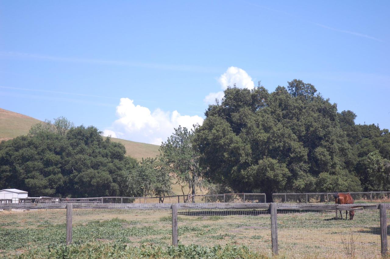 9175 Alisos Canyon Rd - Photo 1