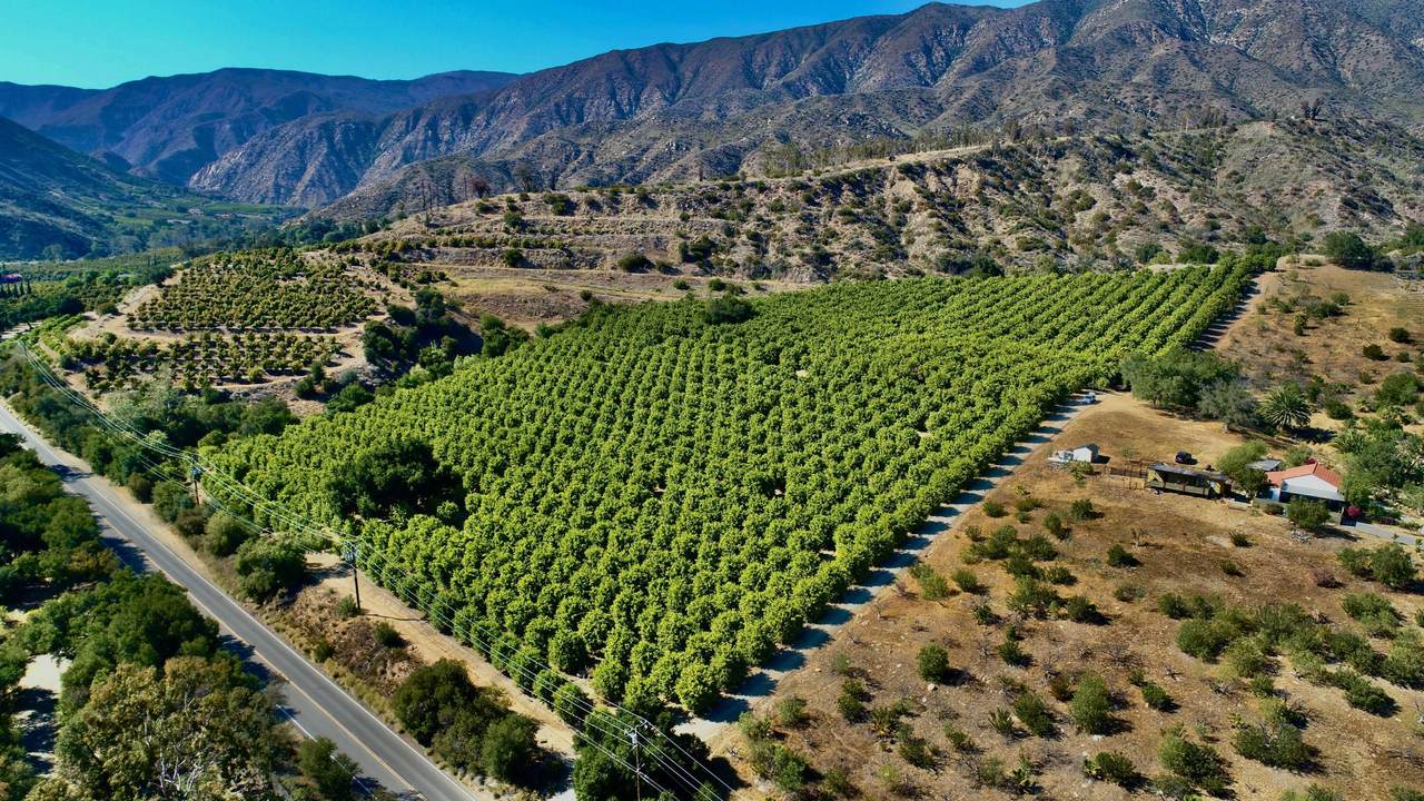 2856 Maricopa Hwy - Photo 1