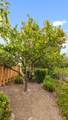 409 Northgate Drive - Photo 6