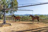 3325 Figueroa Mountain Road - Photo 43