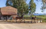 3325 Figueroa Mountain Road - Photo 55