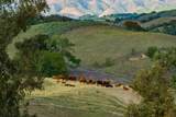 3325 Figueroa Mountain Road - Photo 75