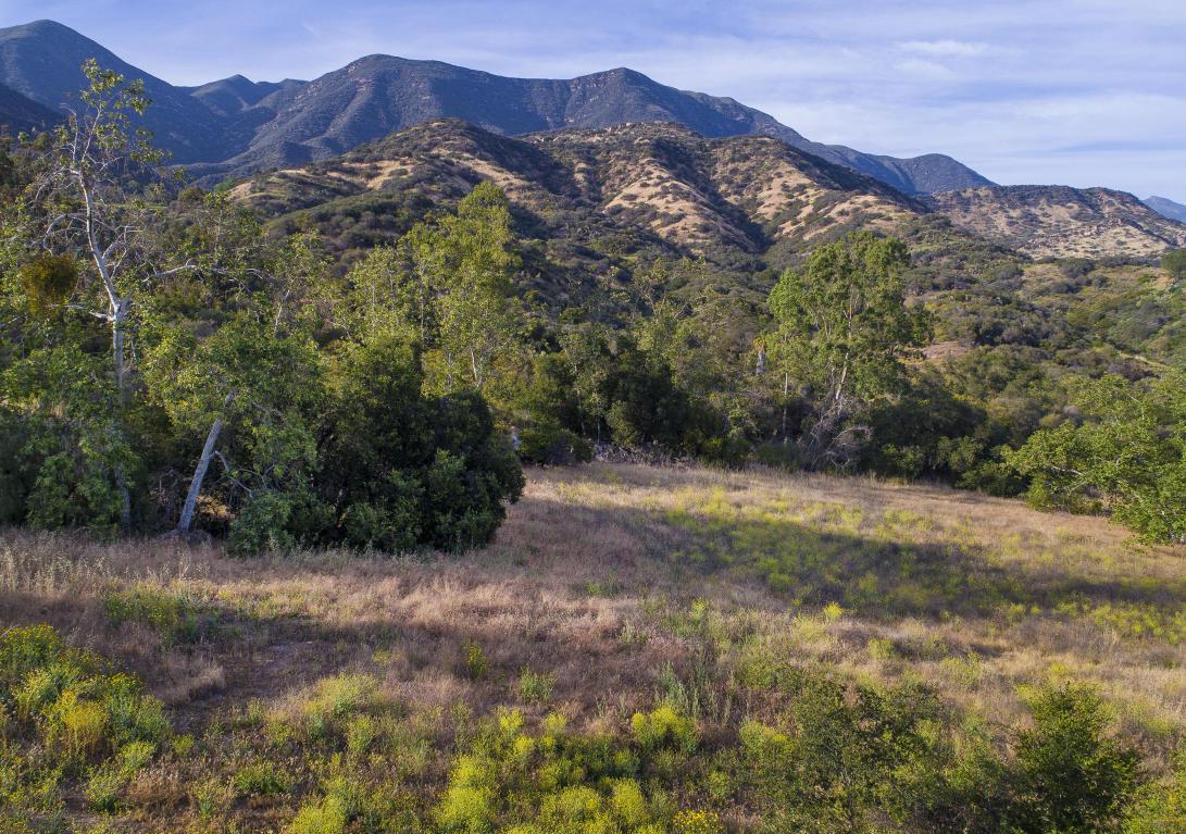 1218 Foothill Rd - Photo 1