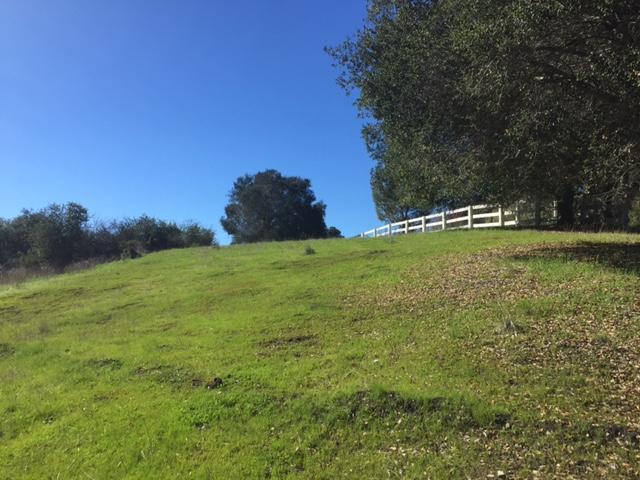 785 B Fredensborg Cyn Rd - Photo 1