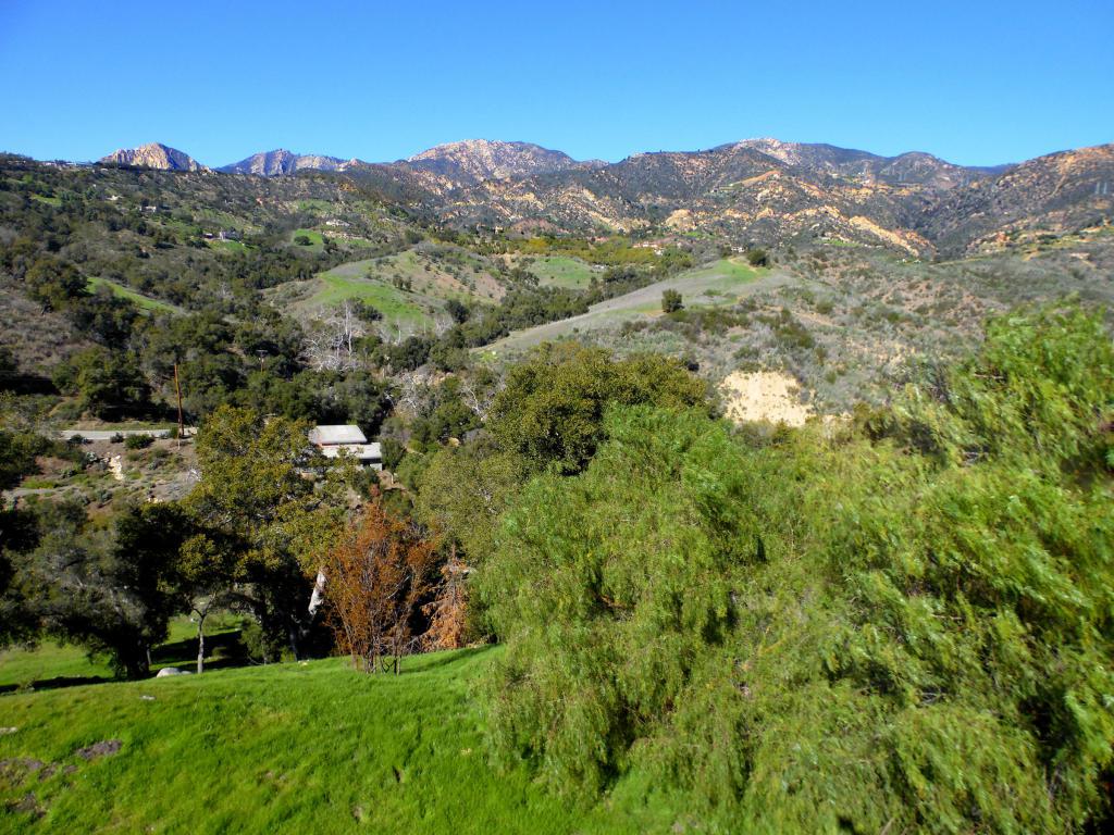 225 Conejo Rd - Photo 1