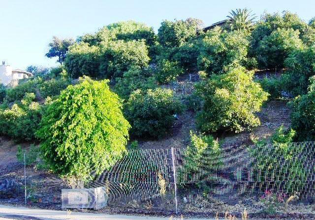 233 View Dr - Photo 1