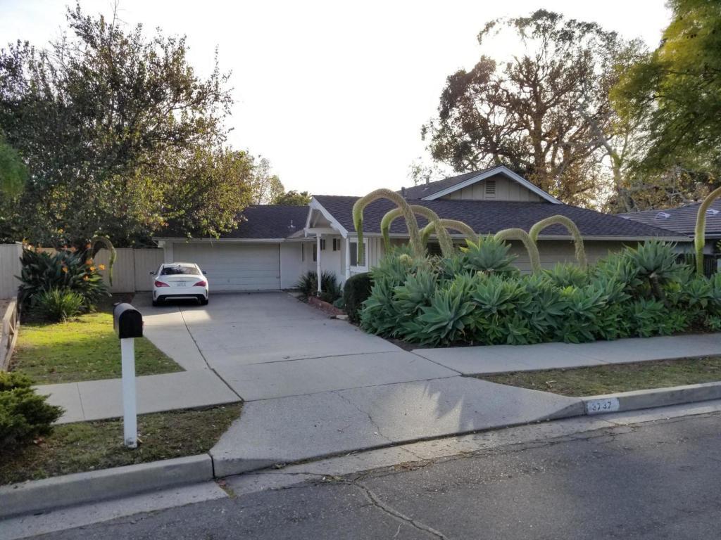 3737 Calle Cita - Photo 1
