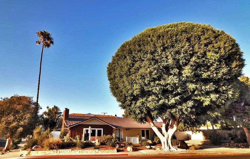 1548 Shoreline Dr - Photo 1
