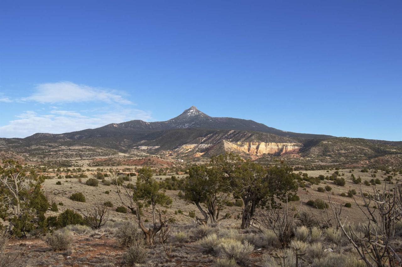 Lot 7 Las Animas De Abiquiu - Photo 1
