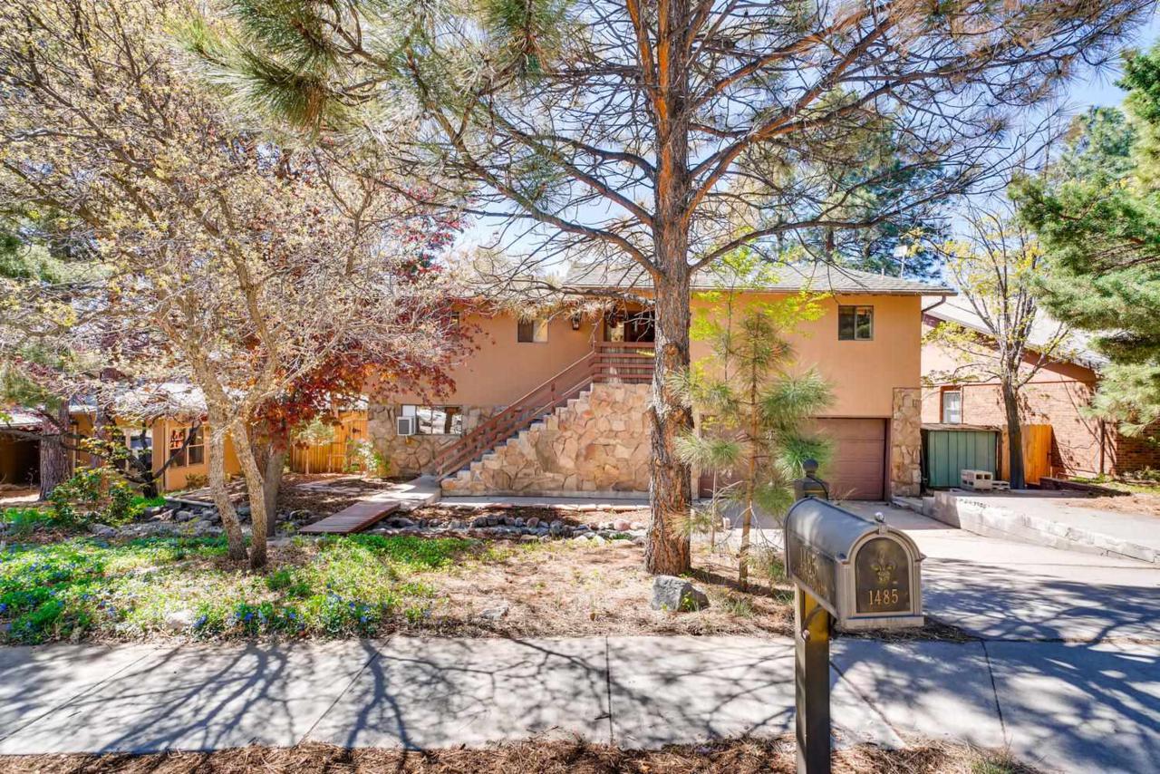 1485 Camino Redondo - Photo 1
