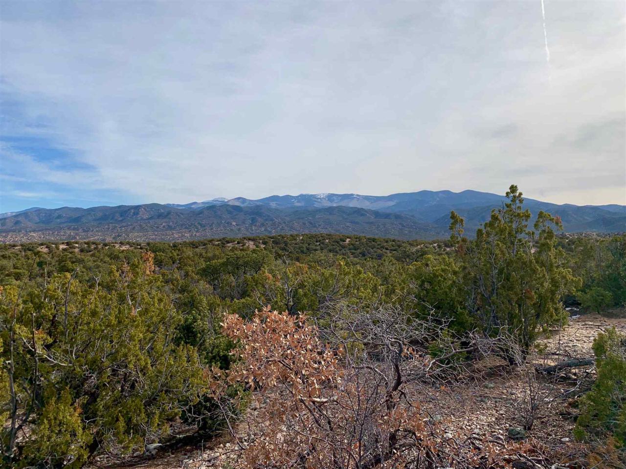 Lot 215 Monte Sereno Drive - Photo 1