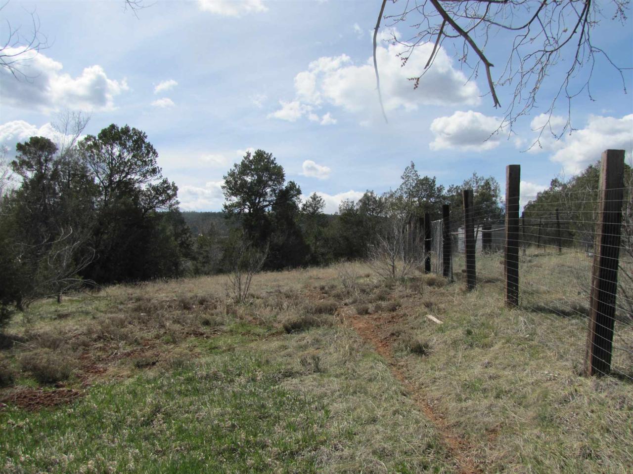18 Camino Dos Millas - Photo 1