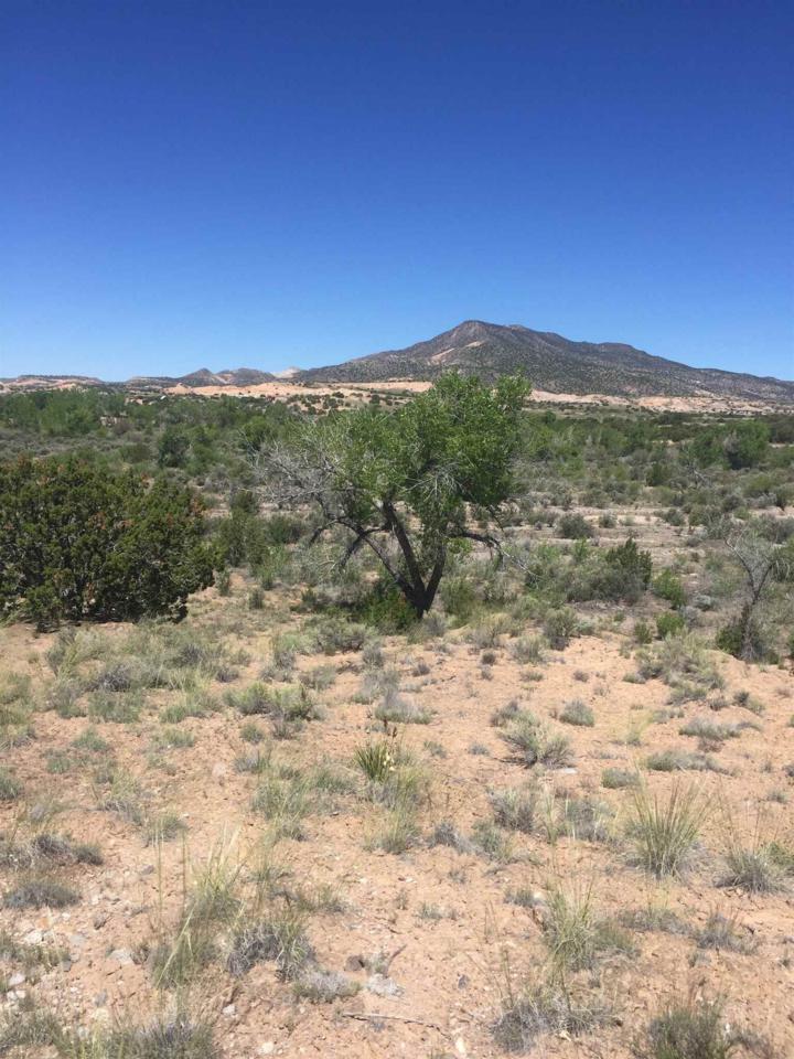 Lots 8,9,23&24 Fort Defina Rd - Photo 1