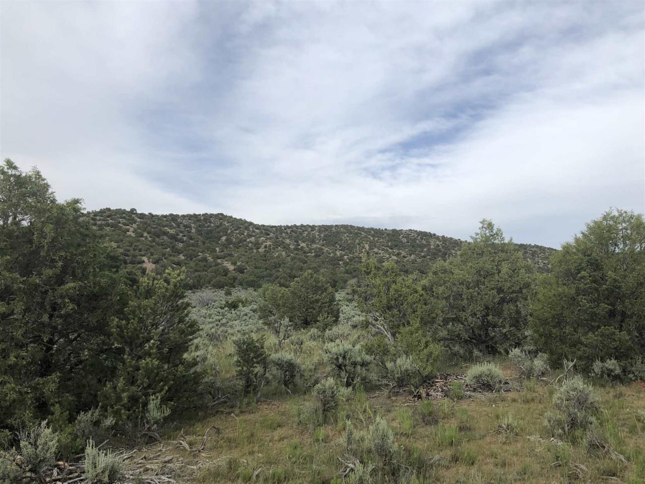 County Road 1301 - Photo 1