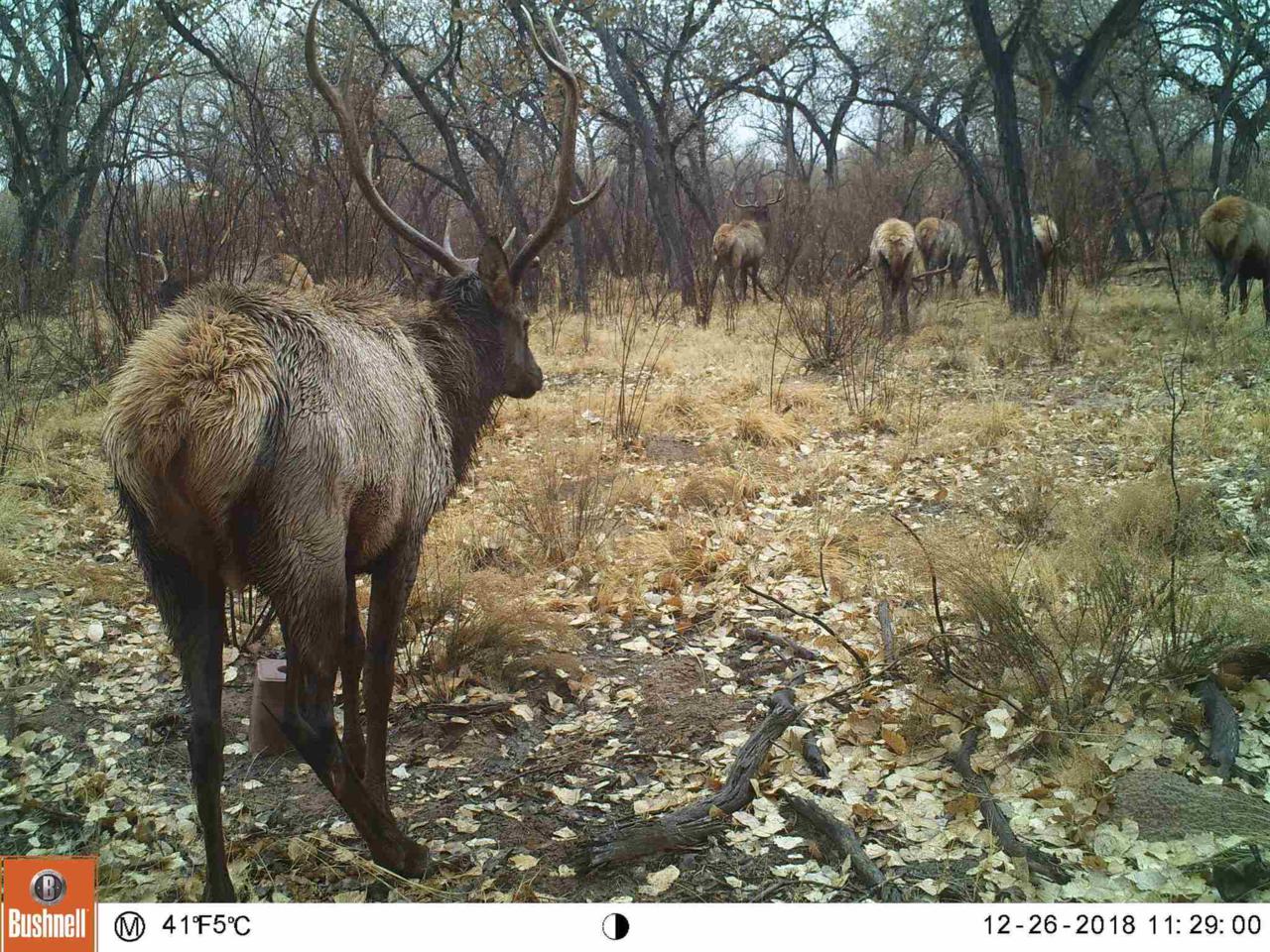 Bosque Retreat - Photo 1