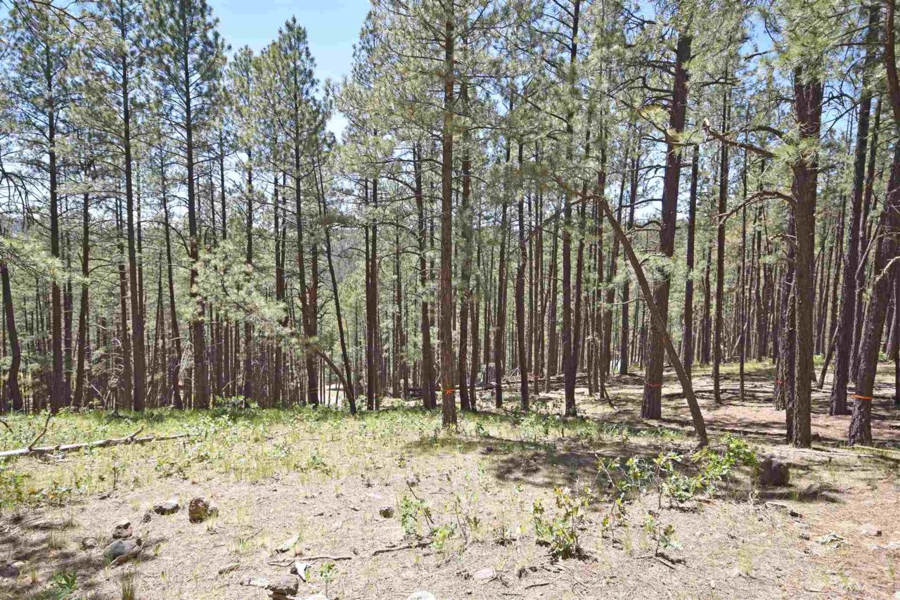 511 Elk Trail - Photo 1