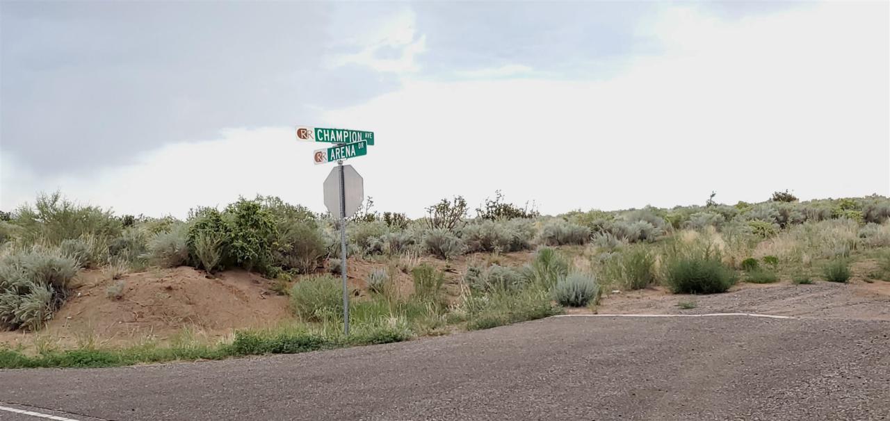 0 Arena Drive - Photo 1