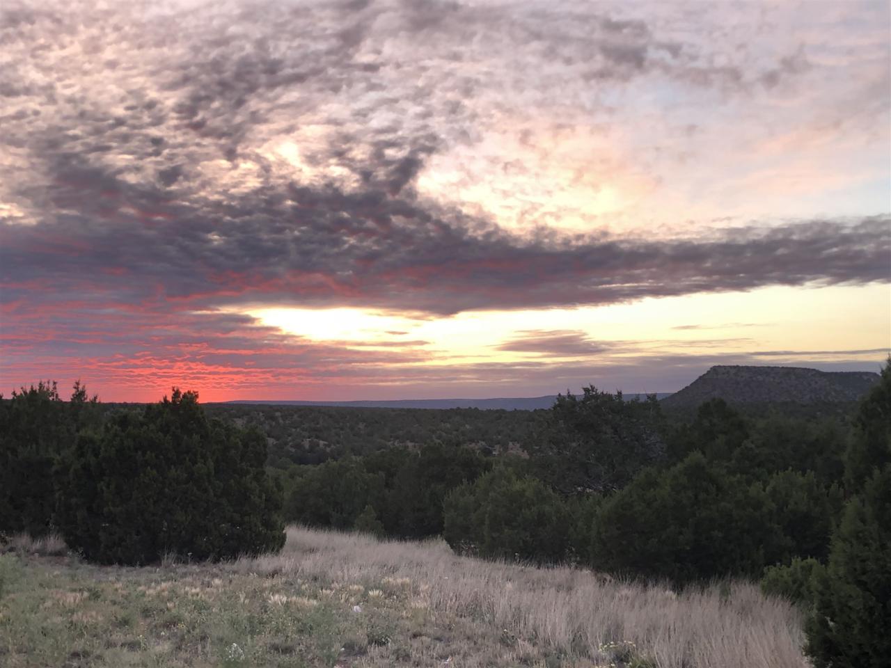 Pintada Loop Ro Mesa View Dr. - Photo 1