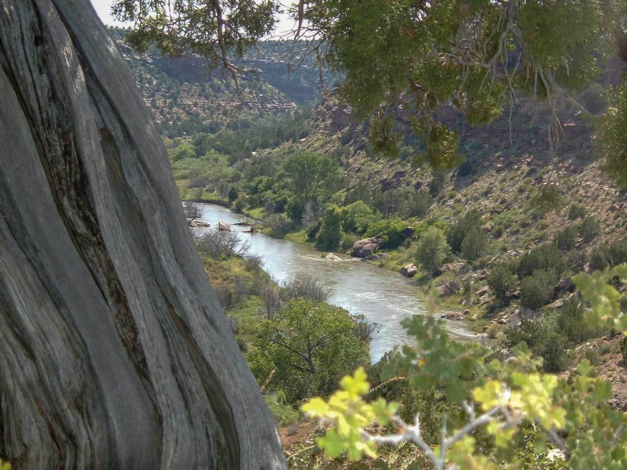 Springs Ranch North - Photo 1