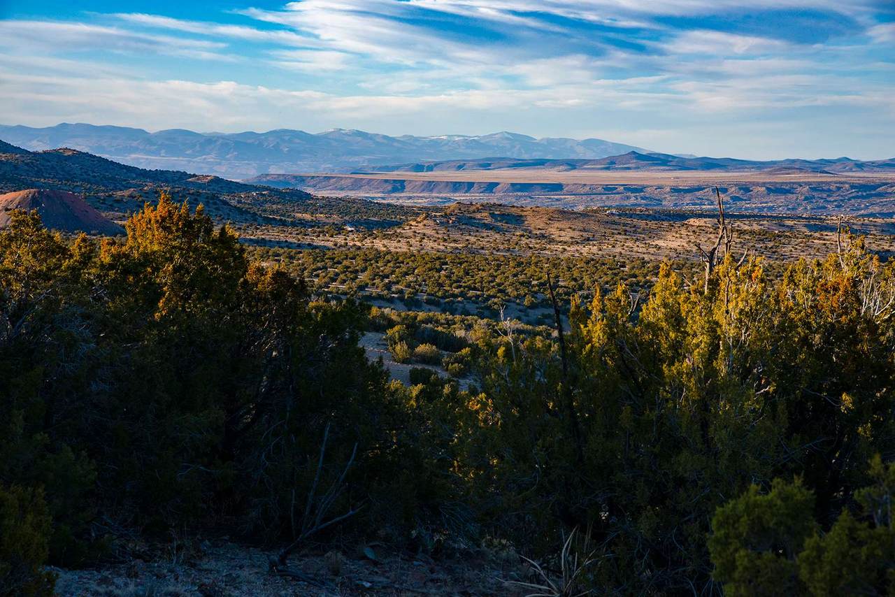 21 Wild Mountain Road - Photo 1